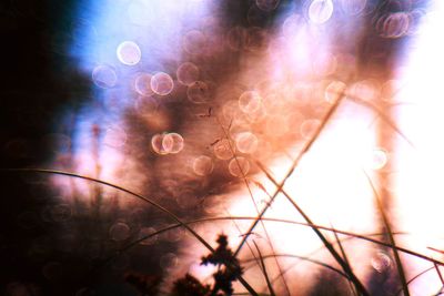 Close-up of illuminated lights