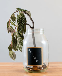 Close-up of jar on table