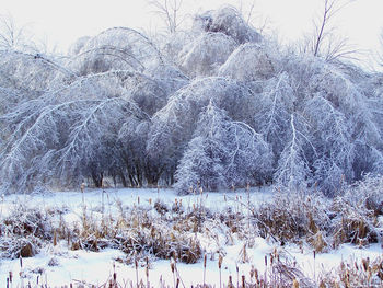 Frozen lake against sky during winter