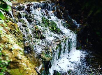 Stream flowing through rocks in forest