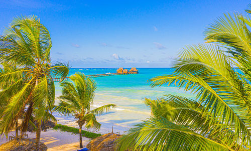 Beach with beautiful coastline. palm trees and caribbean sea. color water is turquoise, 