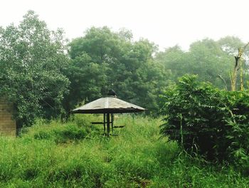 Gazebo on field against sky