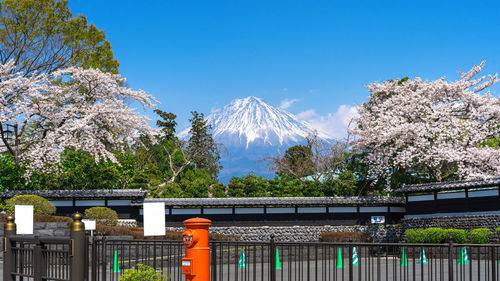 Panoramic view of snowcapped mountains against clear blue sky