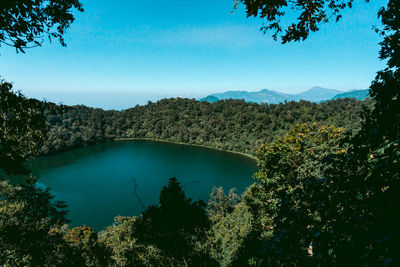 Scenic view of lake and trees against clear blue sky