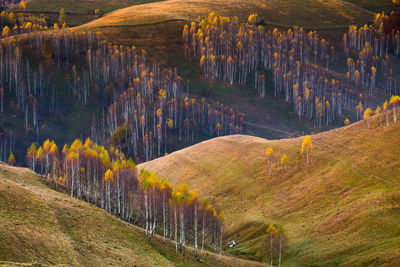 View of road passing through landscape