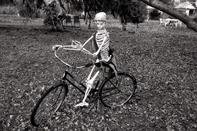 Skeleton on a bicycle in a field