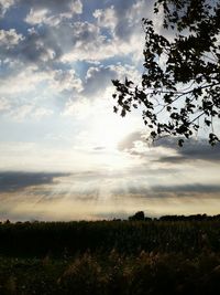 Scenic view of field against sky during sunset