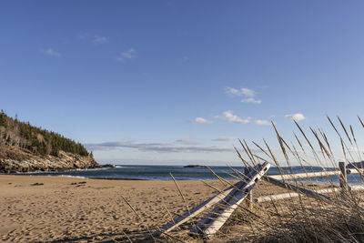 Scenic view of beach against blue sky