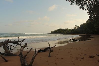 Scenic view of beach against sky