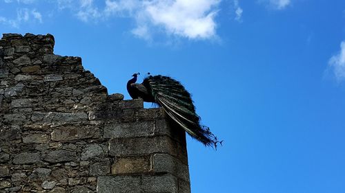 Low angle view of built structure against blue sky