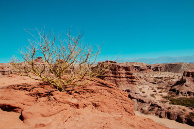 Arid climate landscape south america argentina