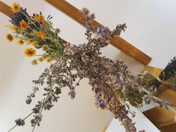 Low angle view of flowering plant against sky