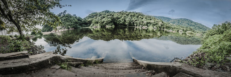 Panoramic view of trees against sky