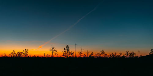 Silhouette plants on field against sky during sunset