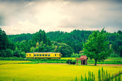 Scenic view of field against sky