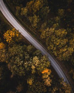 High angle view of yellow road amidst trees