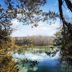 Reflection of trees in lake against sky