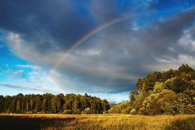 Rainbow over field against sky