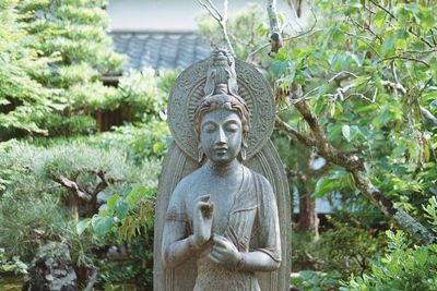 Buddha statue in garden