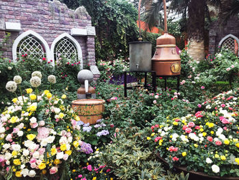 View of flowering plants in garden