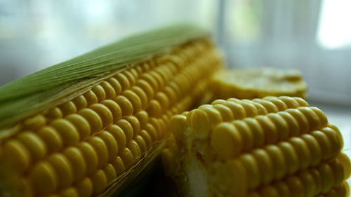 Close-up of corn on table