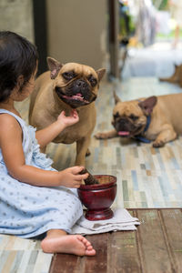 Girl playing with pug at home