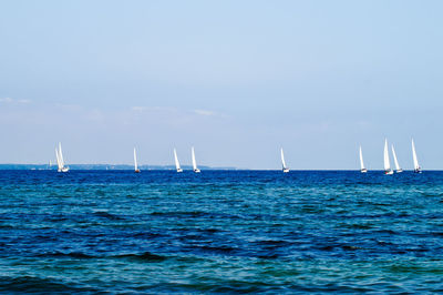 Sailboats sailing in sea against sky