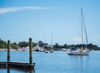 Sailboats moored in harbor