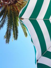 Low angle view of palm tree against clear blue sky