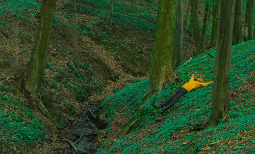 Man lying down on field at forest