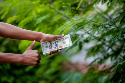 Cropped hands holding paper currency while gesturing thumbs up against trees