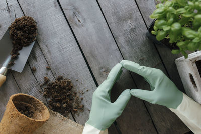 Gardening hobby concept. hands in gloves, heart shape, eco pot, plant with dirt, wooden background