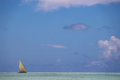 Sailboat in sea against sky