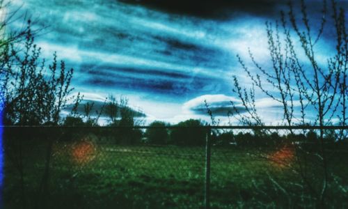 Trees on grassy field against cloudy sky