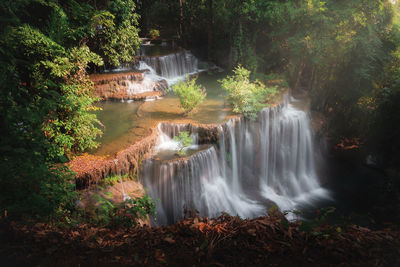 Scenic view of waterfall in forest