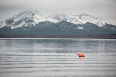 Scenic view of lake and snowcapped mountains