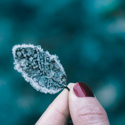 Cropped hand of woman holding frozen leaf