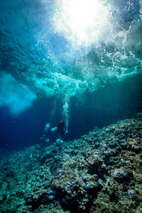 View of person swimming in sea