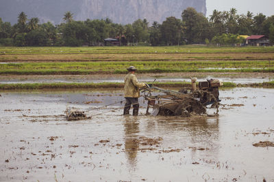 Man working in farm