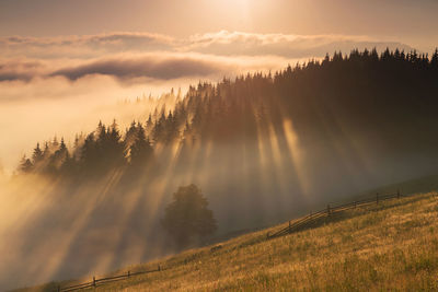 Sunlight streaming through trees on landscape against sky during sunset