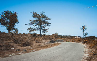 Road amidst trees against clear blue sky