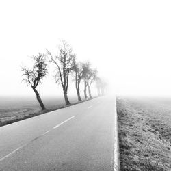 Road by trees on landscape against sky