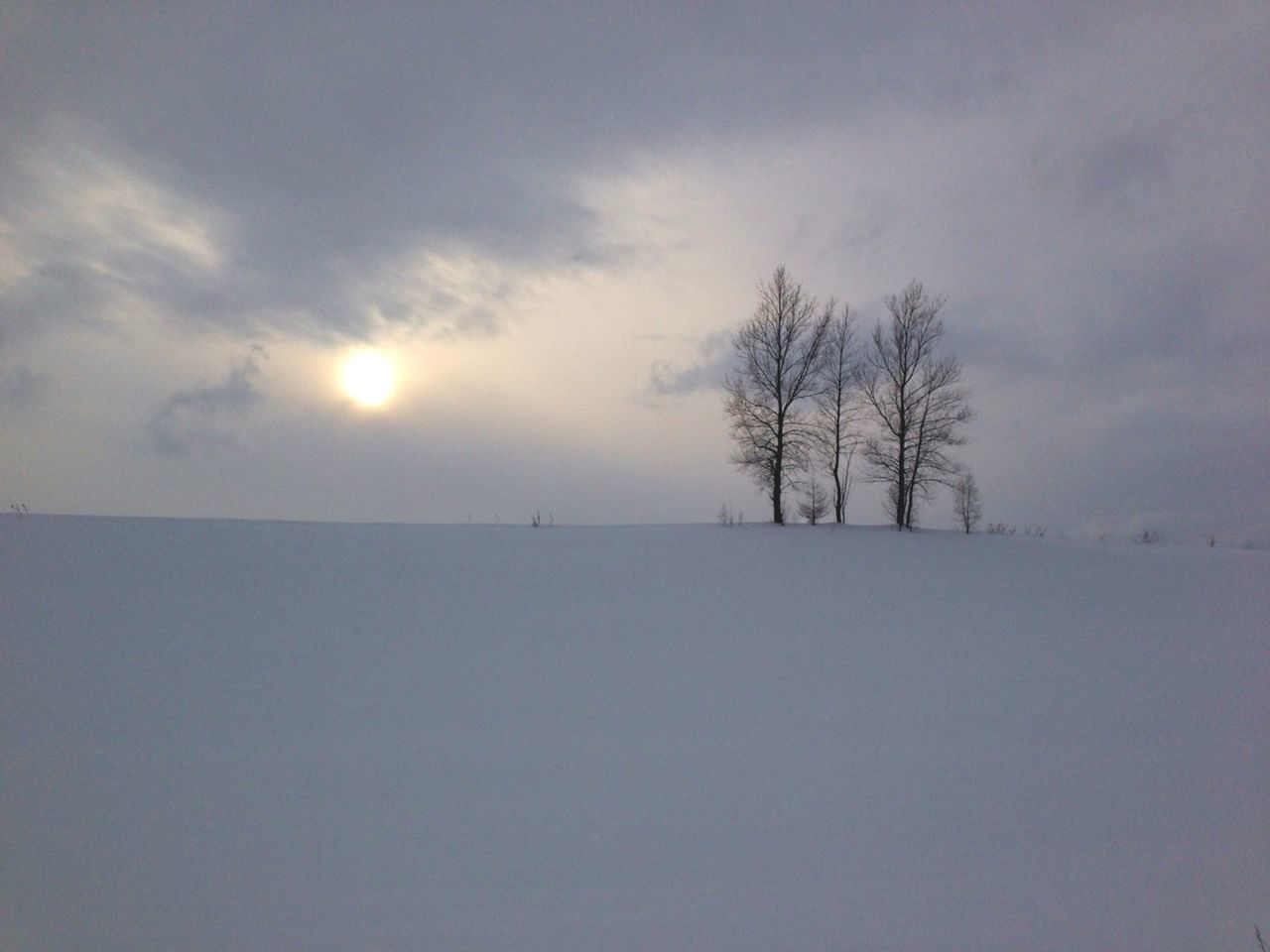 bare tree, winter, snow, cold temperature, tranquility, tranquil scene, sky, scenics, sun, sunset, weather, beauty in nature, tree, nature, landscape, cloud - sky, season, silhouette, branch, covering