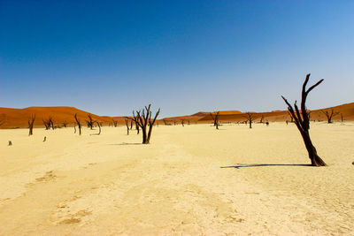 Scenic view of desert against clear sky