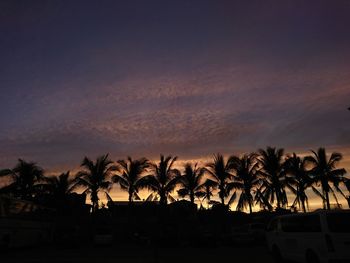 Silhouette coconut trees against sky during sunrise