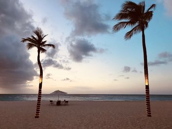 Palm tree on beach against sky during sunset