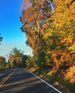 Narrow road along trees and against clear blue sky
