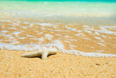 Closeup view of coral and white wave at sand beach. can be used as summer vacation background