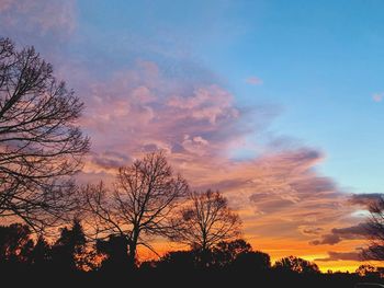 Low angle view of silhouette trees against sky at sunset