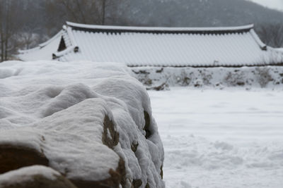 Close-up of snow covered landscape